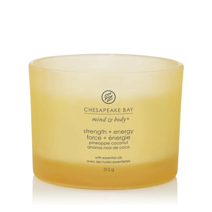 PT40256E_1_212012188 Strength + Energy 312g 3-Docht