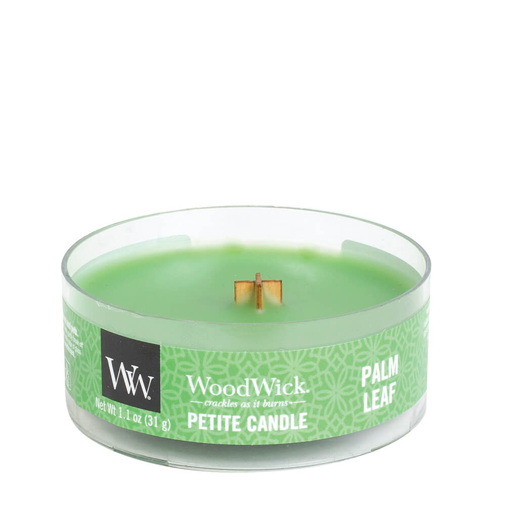 Palm Leaf Petite Candle 31g von Woodwick 