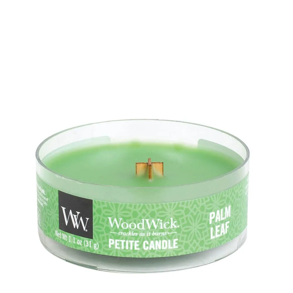 66192 Palm Leaf Petite Candle 31g von Woodwick