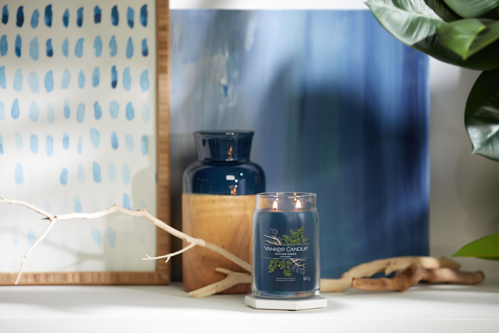 Bayside-Cedar_Enviro-6 Bayside Cedar Signature Large Jar 567g 2-Docht