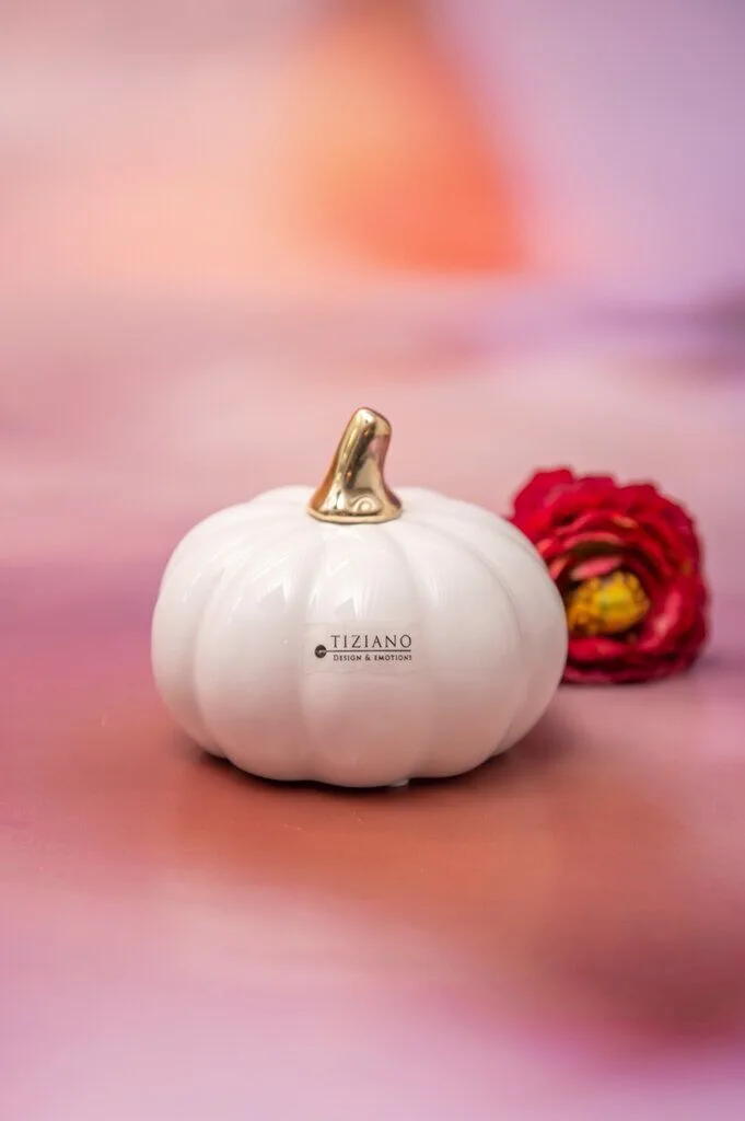 boglia-kuerbis-weiss-creme-einzel-1 Minikürbis Boglia 8cm cremeweiß