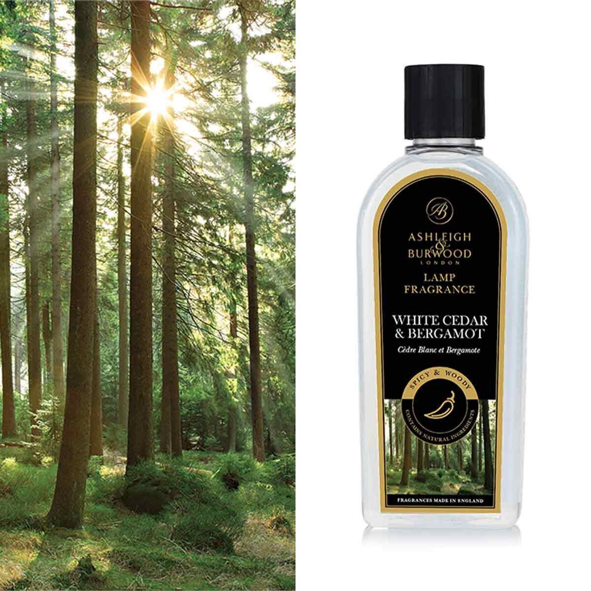 White Cedar & Bergamot 500ml Duftlampenöl Nachfüller Flasche, Pflanze, Vegetation, Parfüm, Wald