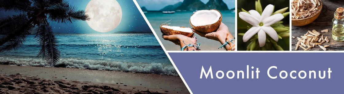 Moonlit Coconut 411g (3-Docht)
