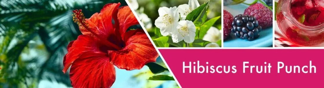 Hibiscus Fruit Punch 59g