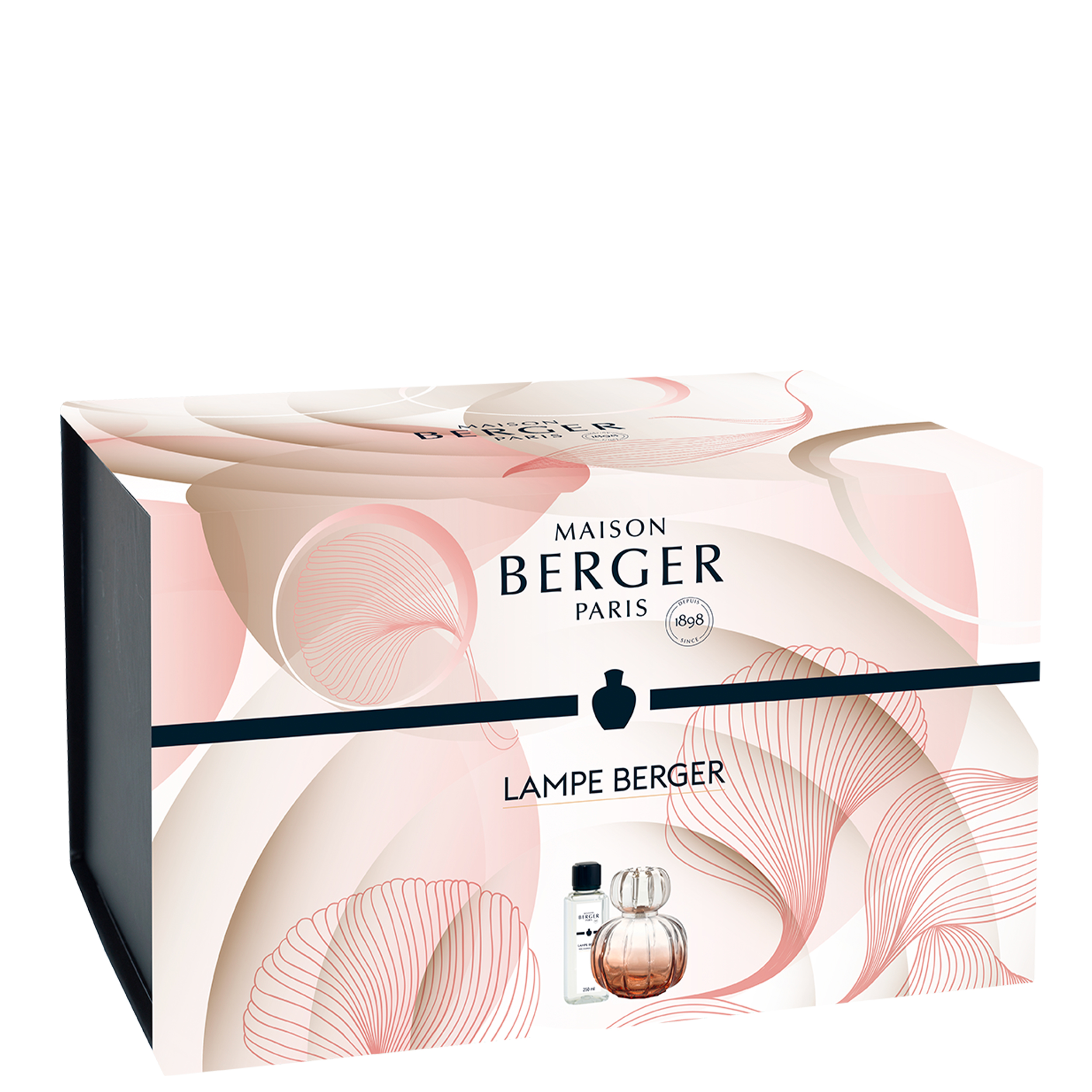 Corali rose - Lady Flower