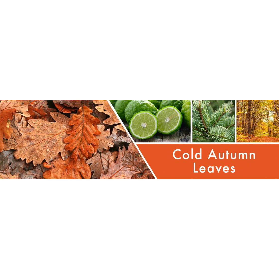 Cold Autumn Leaves 680g
