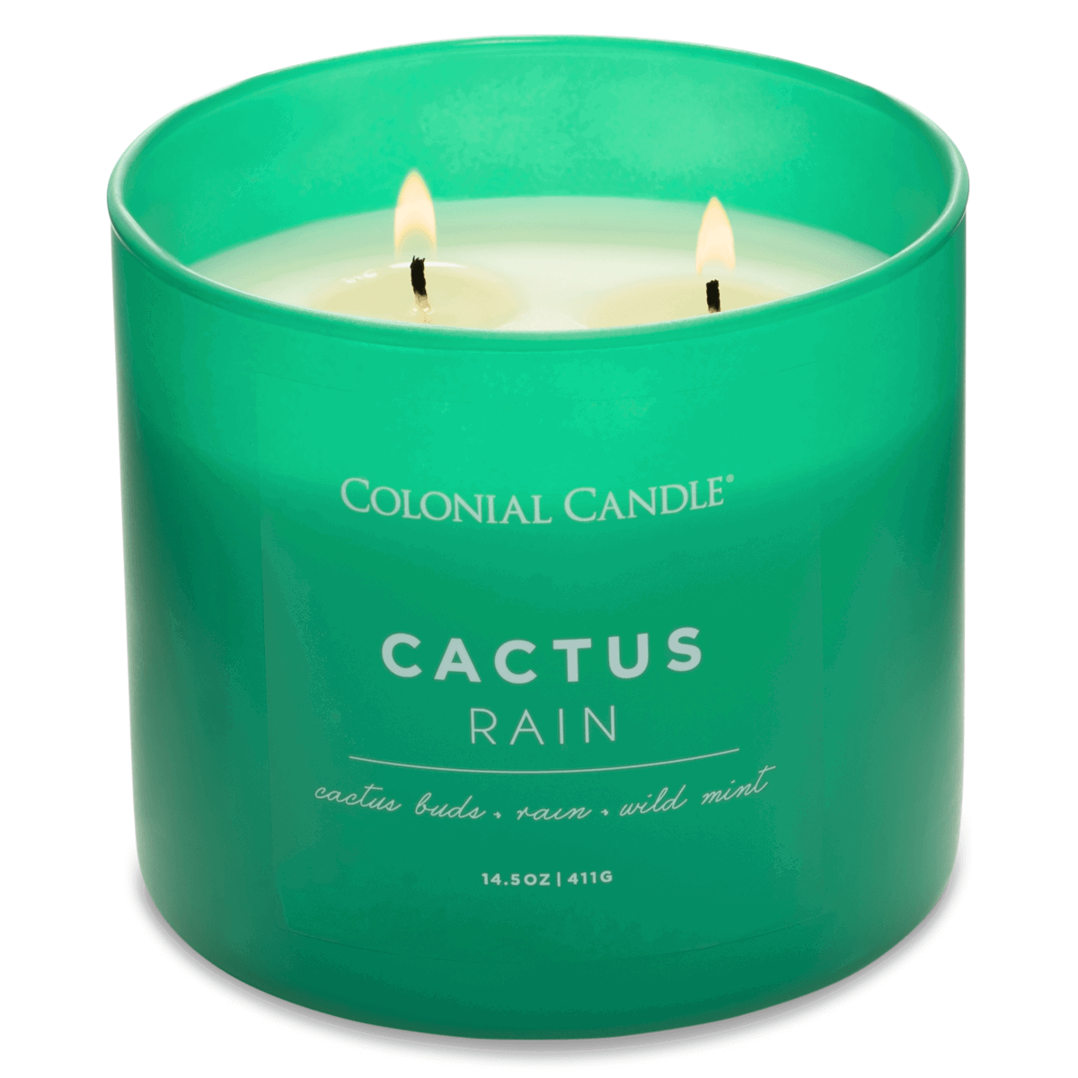 Duftkerze Cactus Rain  - 411g