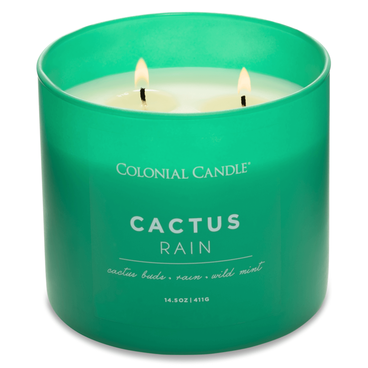 CC123747-von-Oben Duftkerze Cactus Rain - 411g