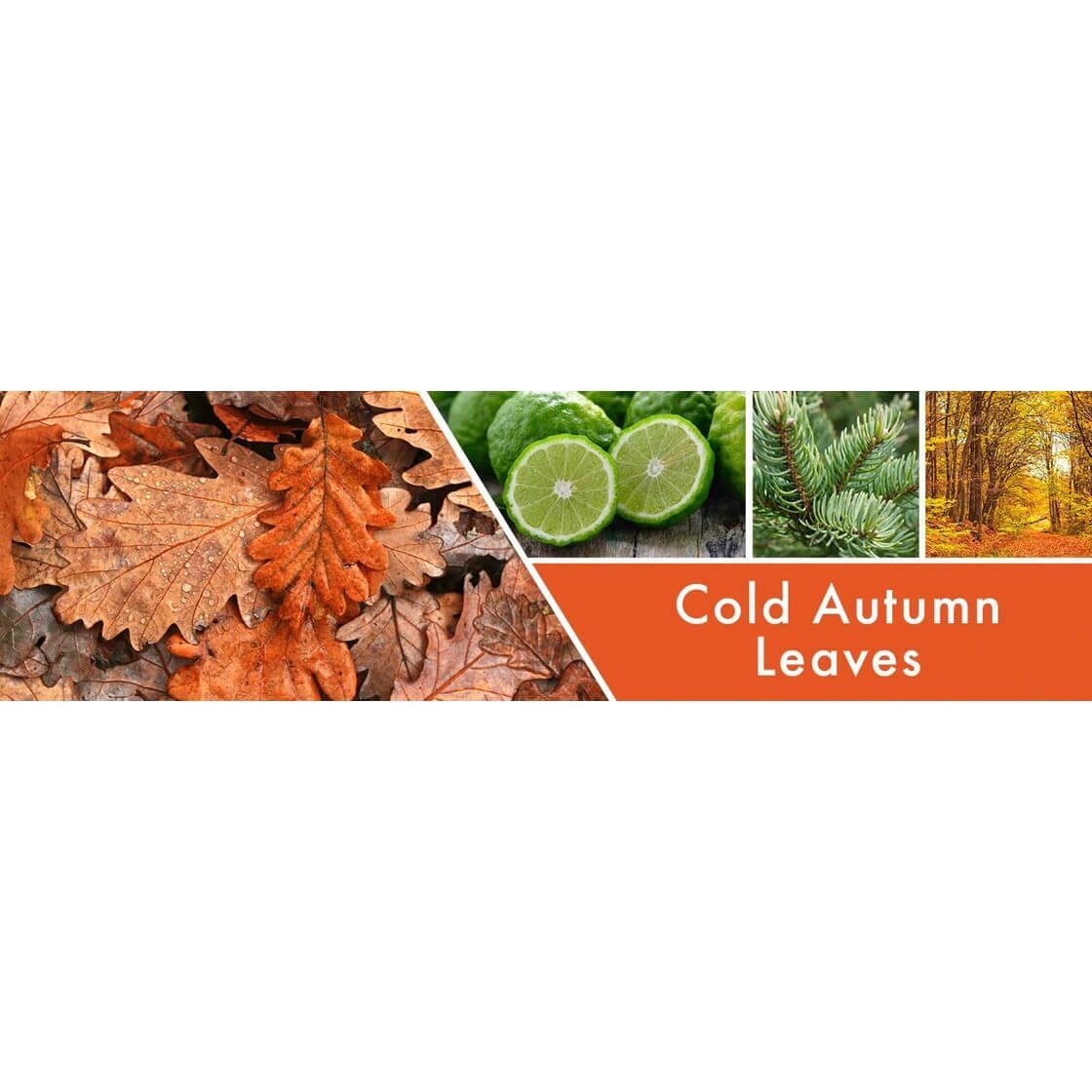 cold-autumn-leaves-wachsmelt-59g-2 Cold Autumn Leaves 59g