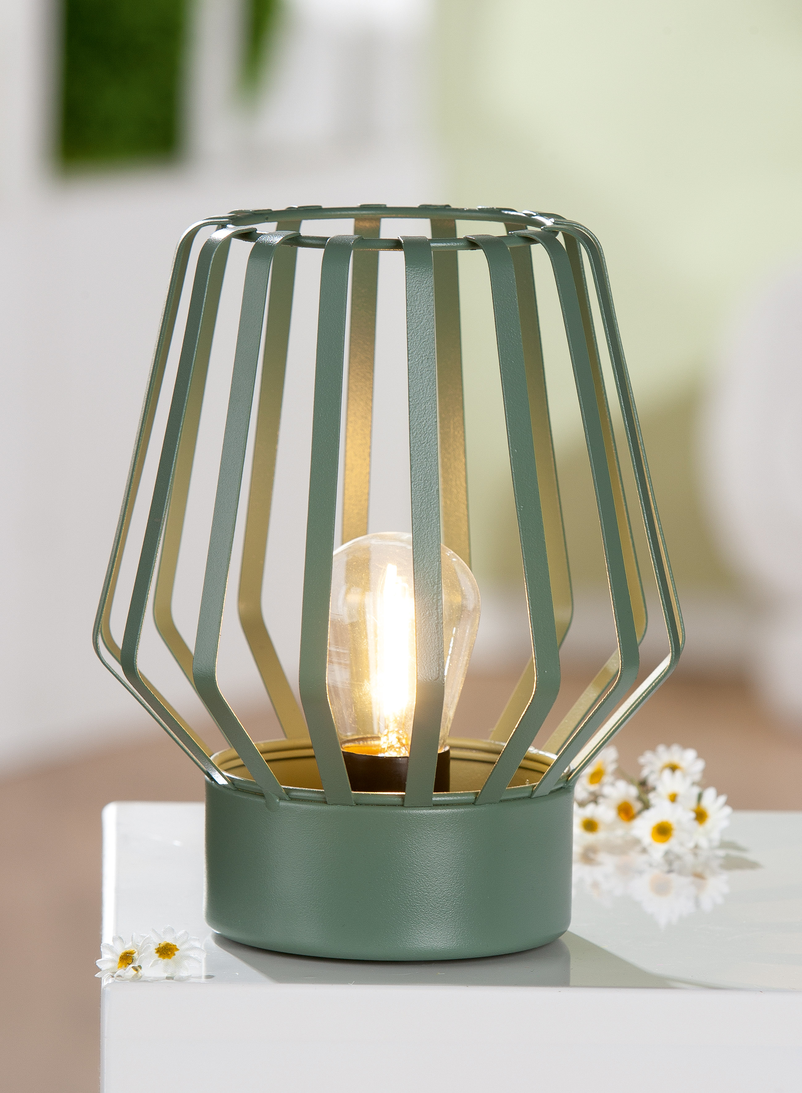 LED Windlicht Pavone grün LED Windlicht Pavone grün
