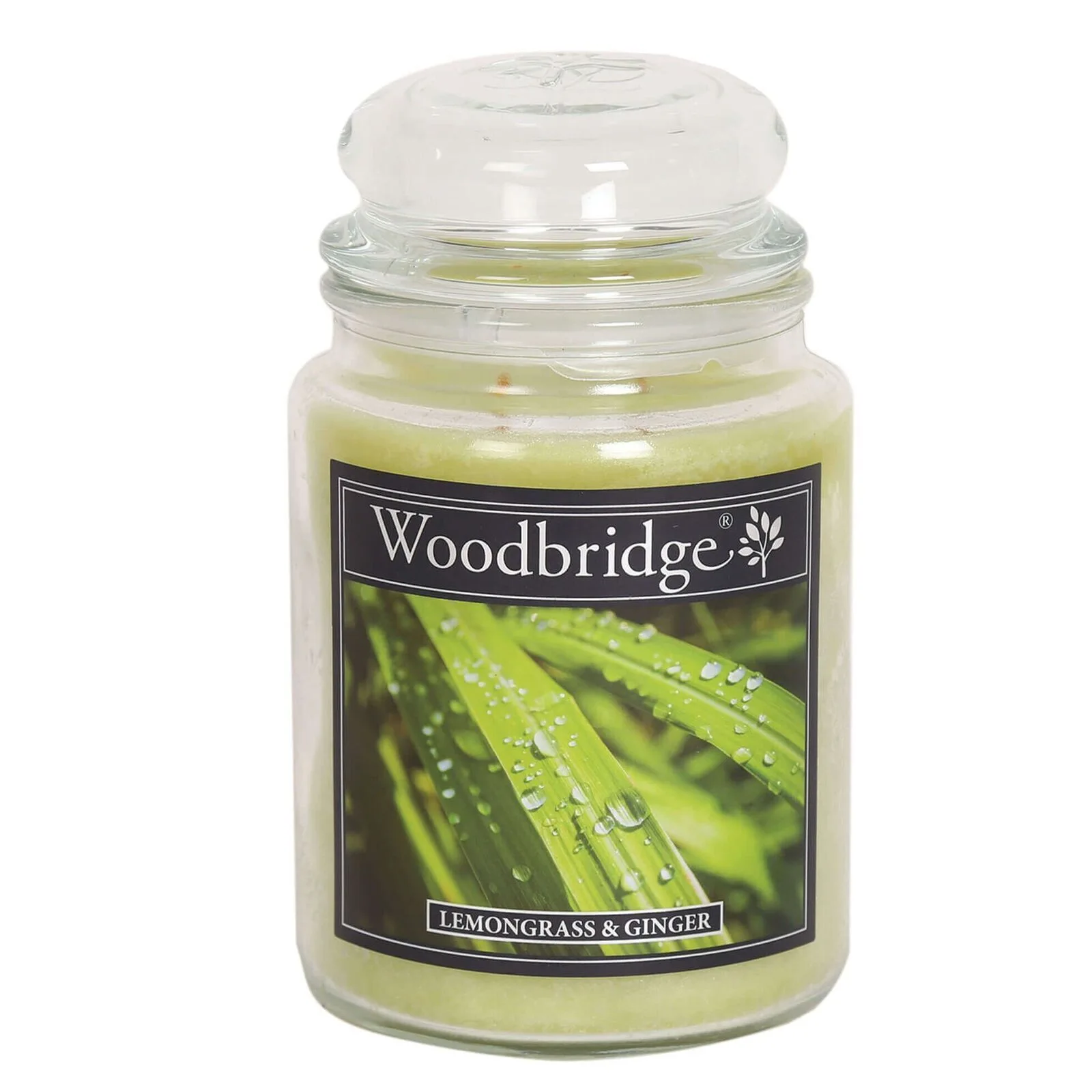 WLJ014 Lemongrass & Ginger 565g