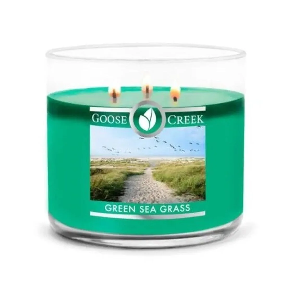 green-seagrass-3-docht-kerze-411g Green Seagrass 411g