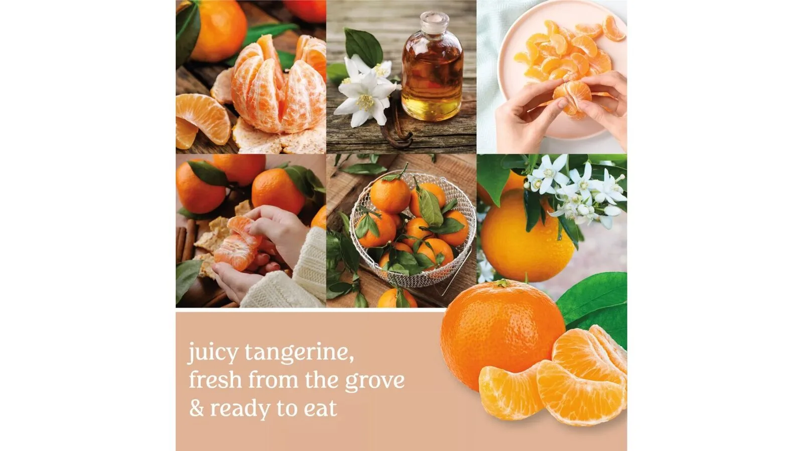 tangerineva2 Tangerine & Vanilla 623g