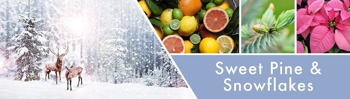 Sweet-Pine-_-Snowflakes-Fragrance-Notes_049133a3-ee9a-46cc-8a0f-6fcf2bb6f450 Sweet Pine & Snowflakes 59g