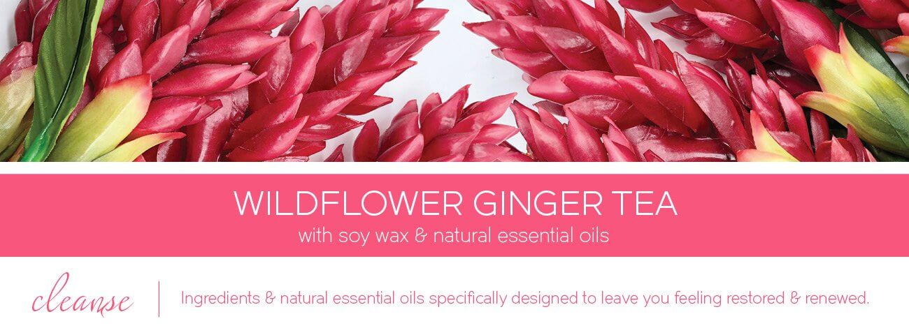 Cleanse Wildflower Ginger Tea 411g (3-Docht)