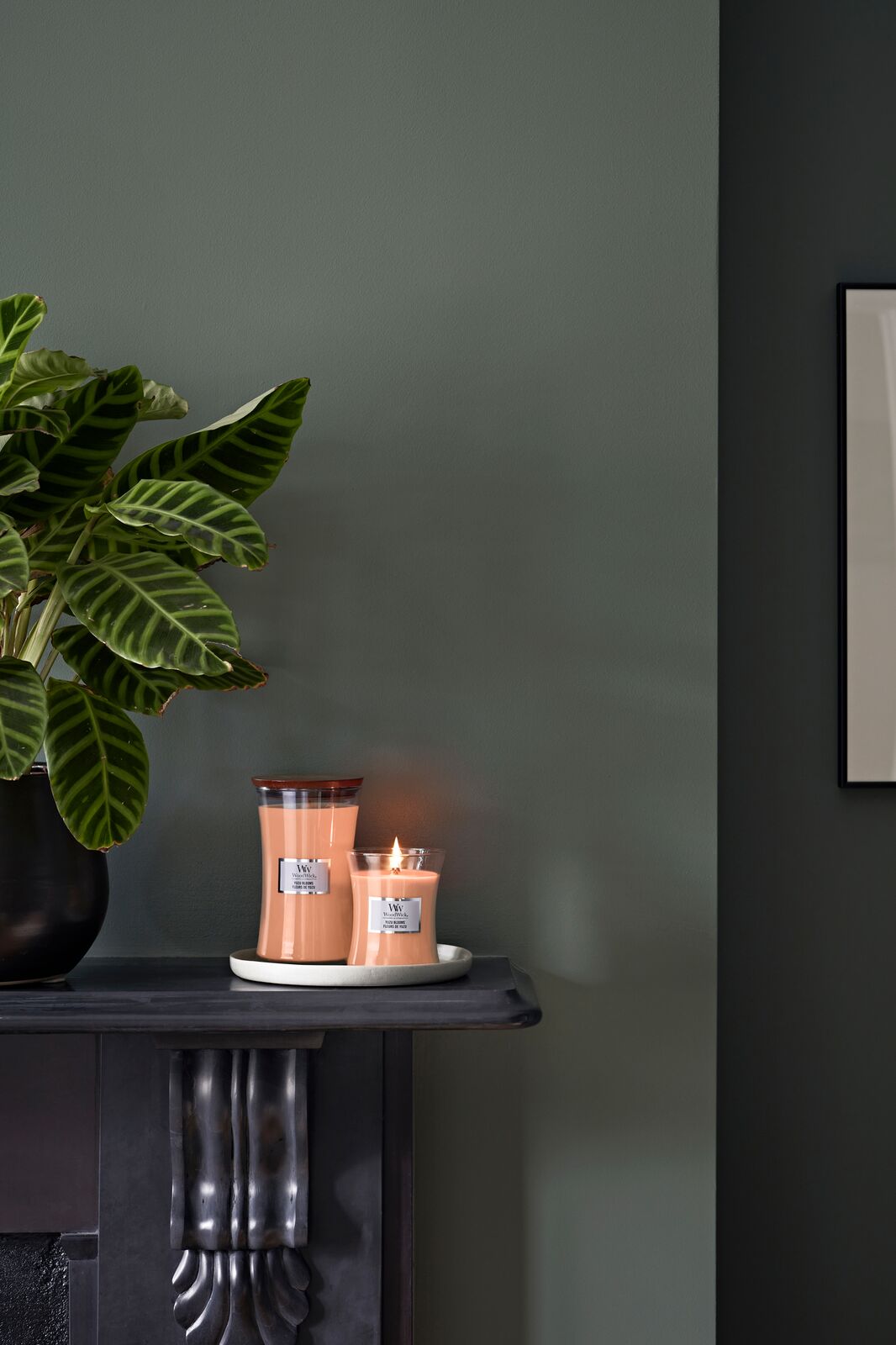 YC_SS23_1741_HRU Yuzu Blooms 275g