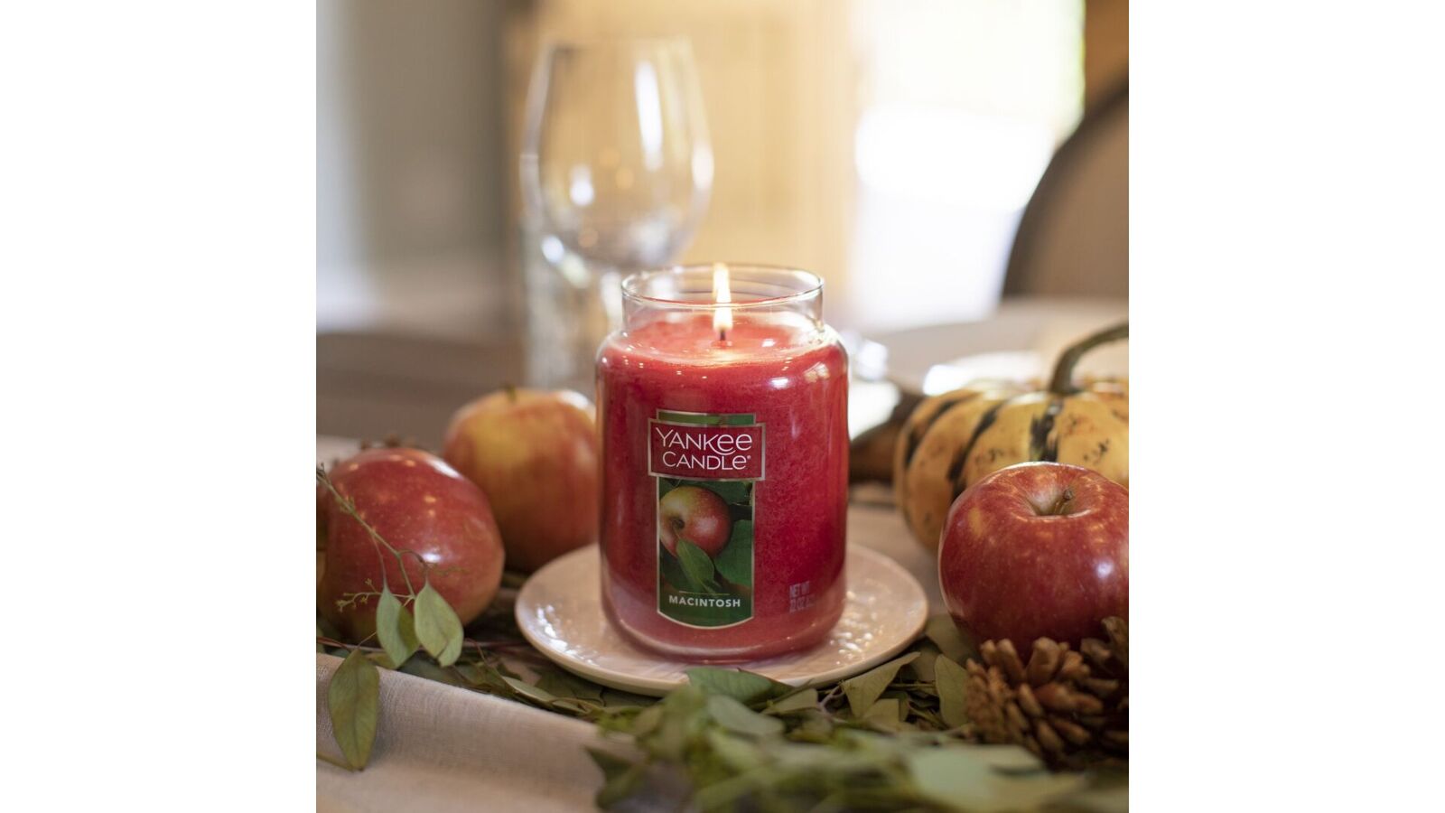 macintoshus2 Macintosh 623g