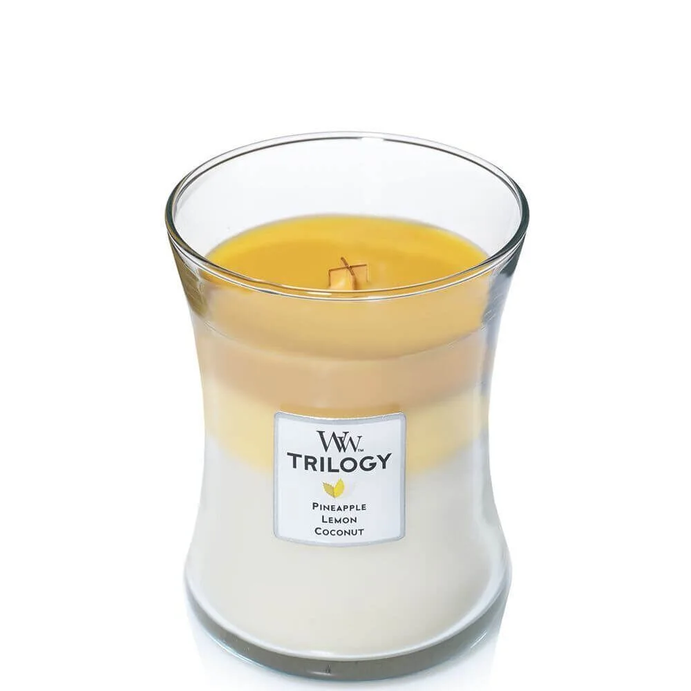 92958_-w-o-Lid-silho Fruits of Summer 275g