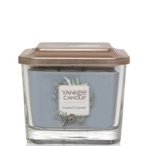 Yankee Candle - Coastal Cypress 347g