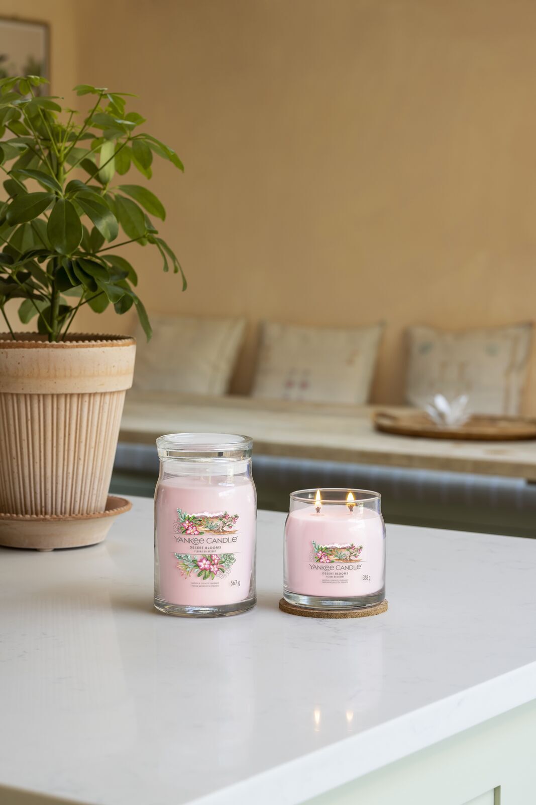 DESERT_BLOOMS_GROUP_019 Desert Blooms Signature Large Jar 567g 2-Docht