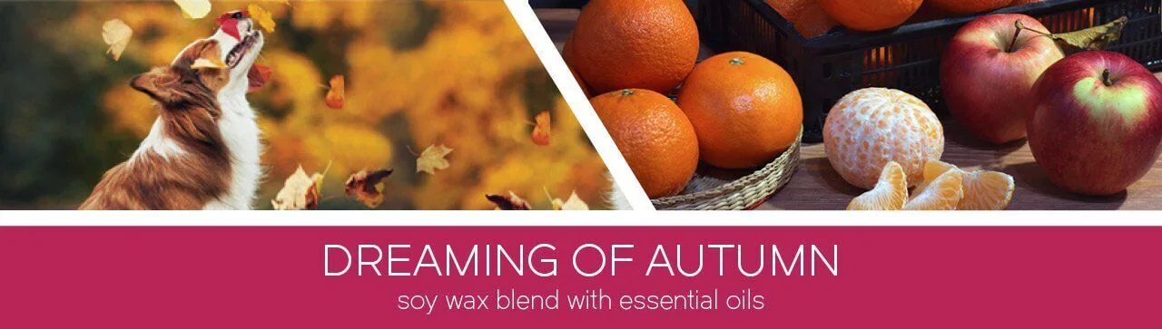 Dreaming-of-Autumn-Fragrance-1 Dreaming of Autumn 411g (3-Docht)