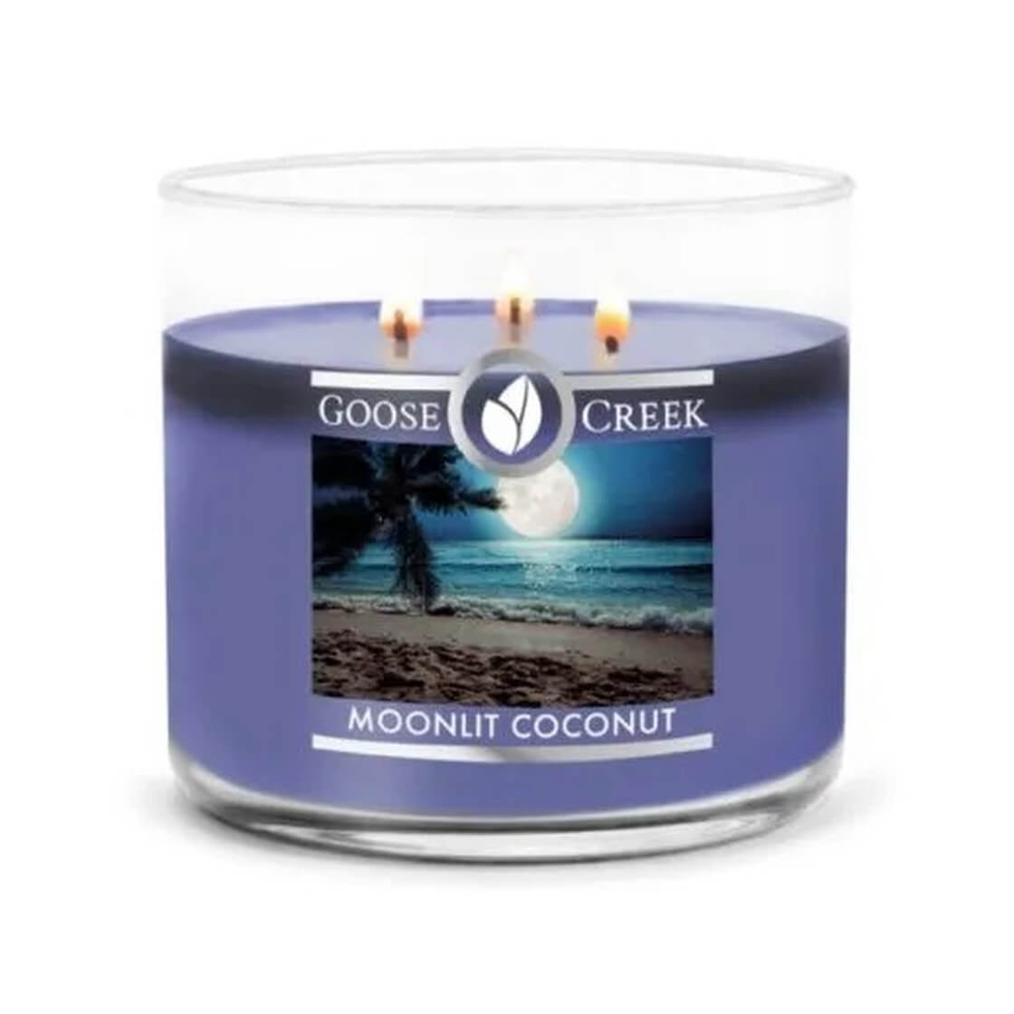 Moonlit Coconut 411g (3-Docht)