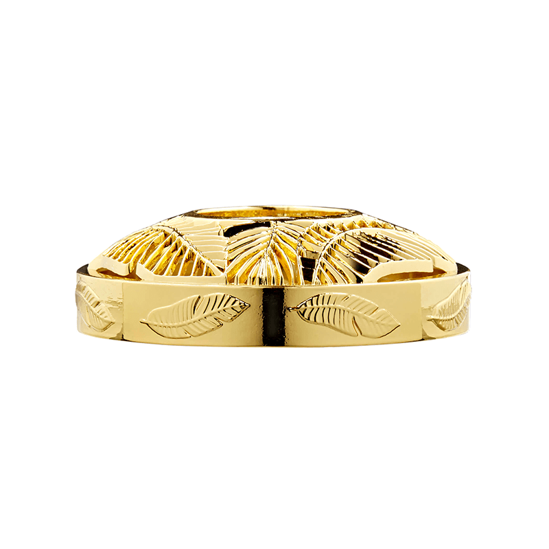 The-Last-Paradise-Illuma-Lid The Last Paradise - Illuma-Lid