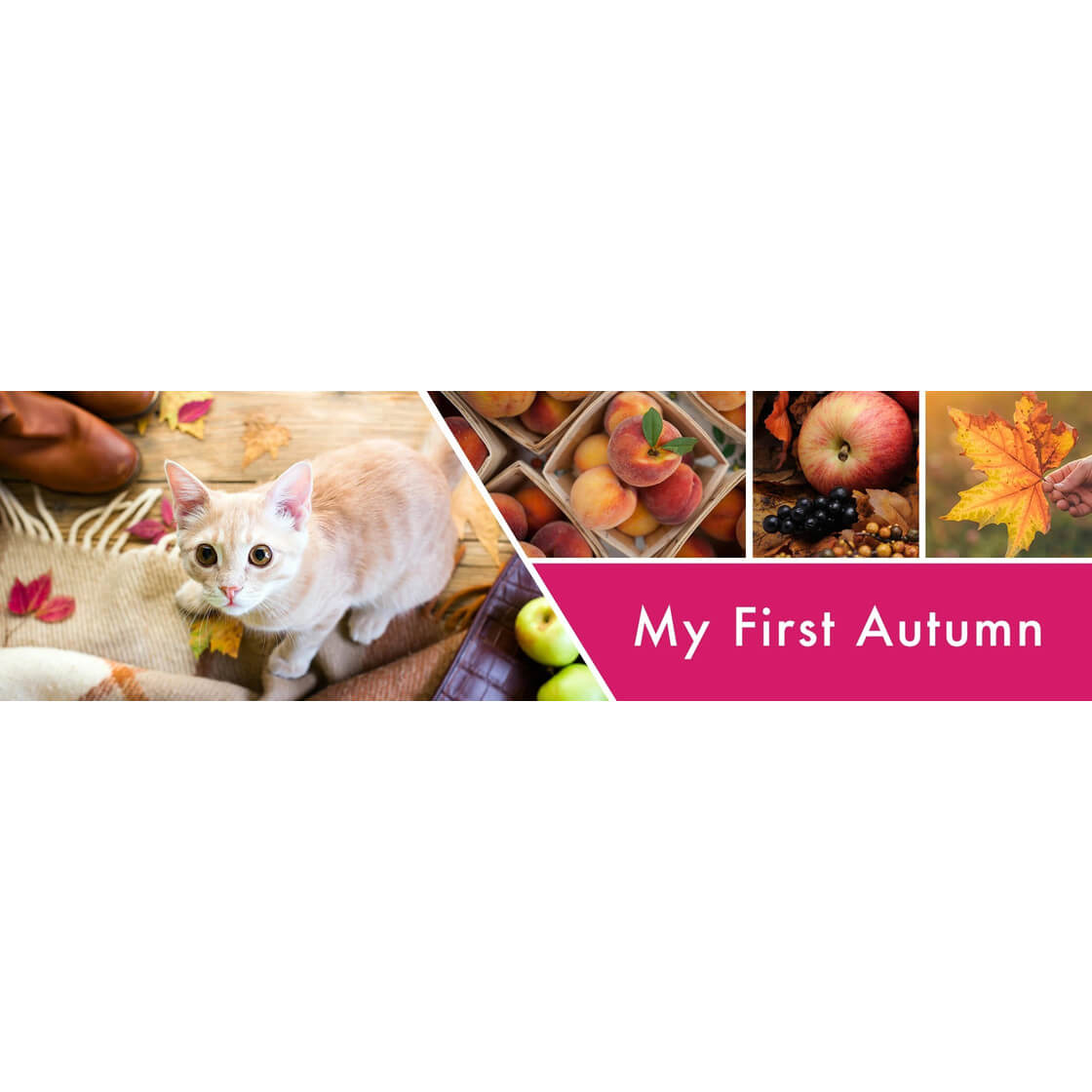My First Autumn 411g (3-Docht)