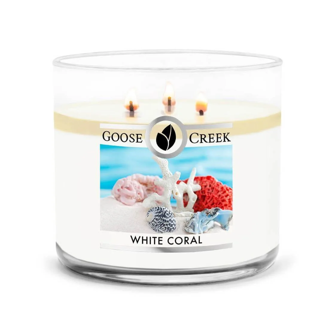 white-coral-3-docht-kerze-411g White Coral 411g (3-Docht)