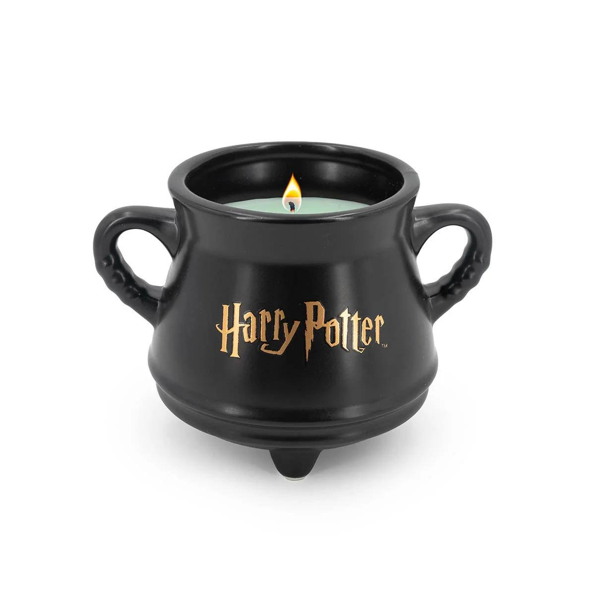 Witch's Cauldron - Harry Potter™ Duftkerze 230g