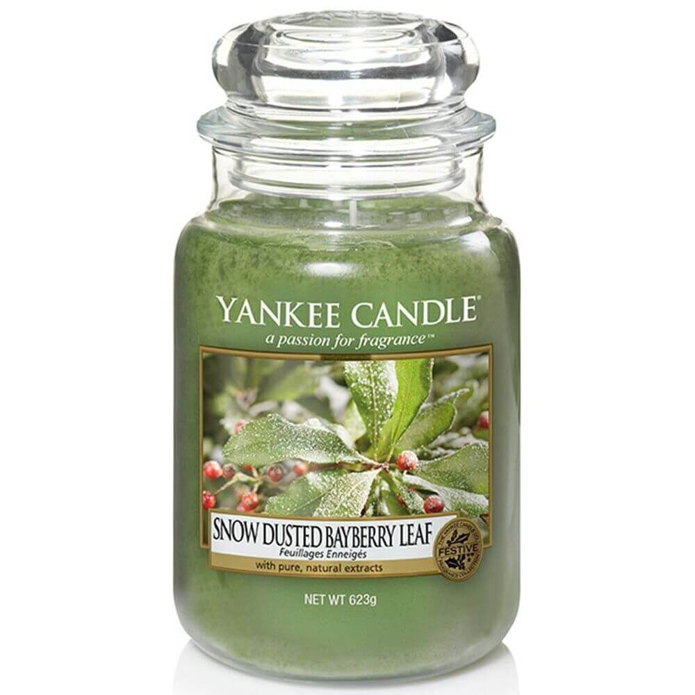 1595632E Snow Dusted Bayberry Leaf 623g