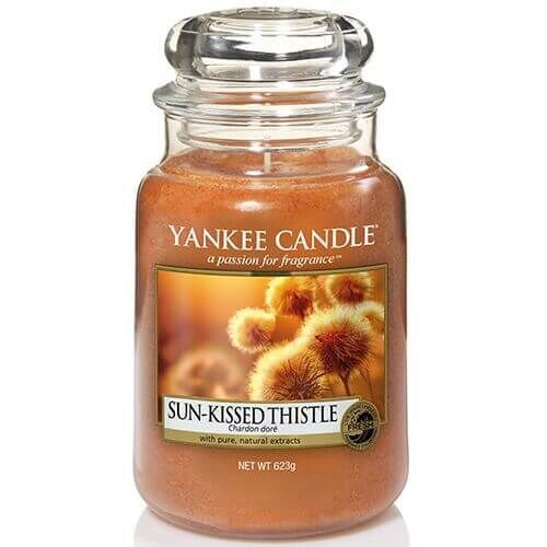 Sun-Kissed-Thistle Yankee Candle - Sun-Kissed Thistle 623g