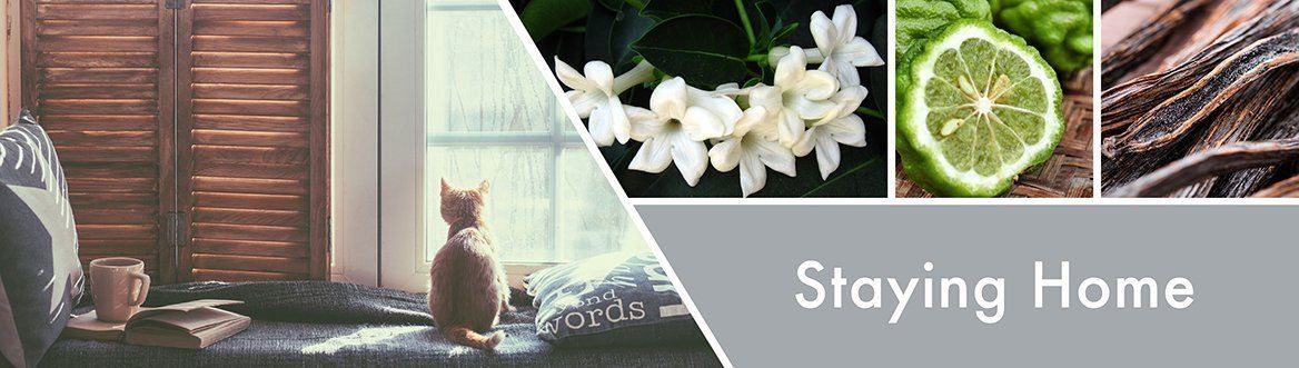 Staying Home 411g (3-Docht)