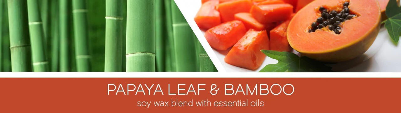 Papaya Leaf & Bamboo 411g (3-Docht)