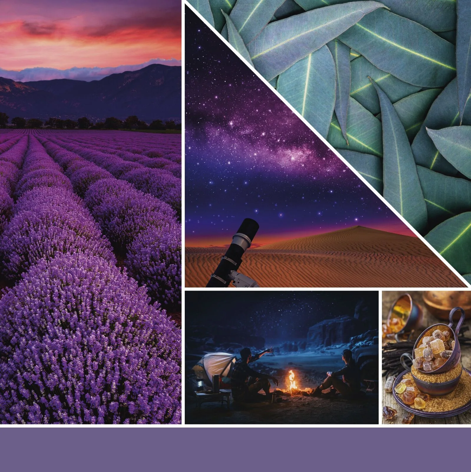 HMFC0112_YC_EMEA_SS23_Fragrance2D_Stargazing