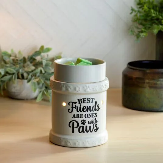Best Friends elektrische Duftlampe Topfpflanze, Krug, Pflanzgefäß, Töpferei, Vase