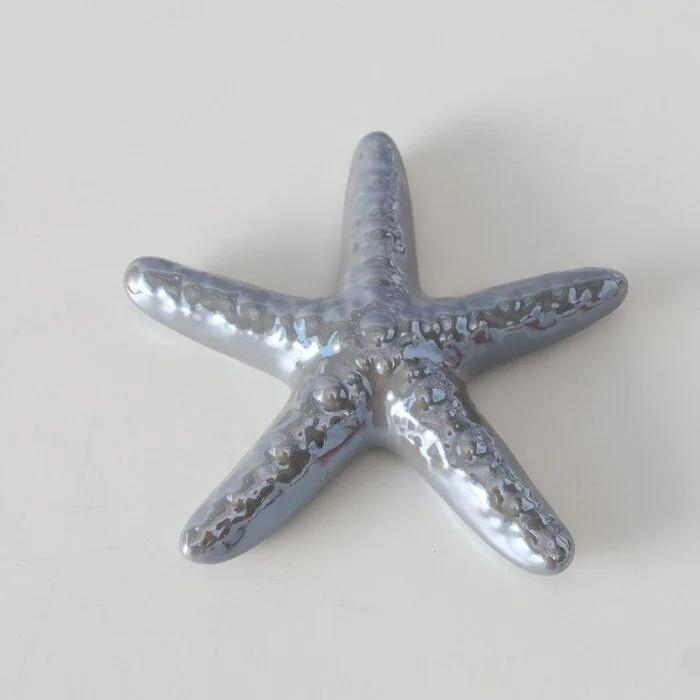 Einzelbild-L6SsDFxC-large Seestern Mylva 11cm grau