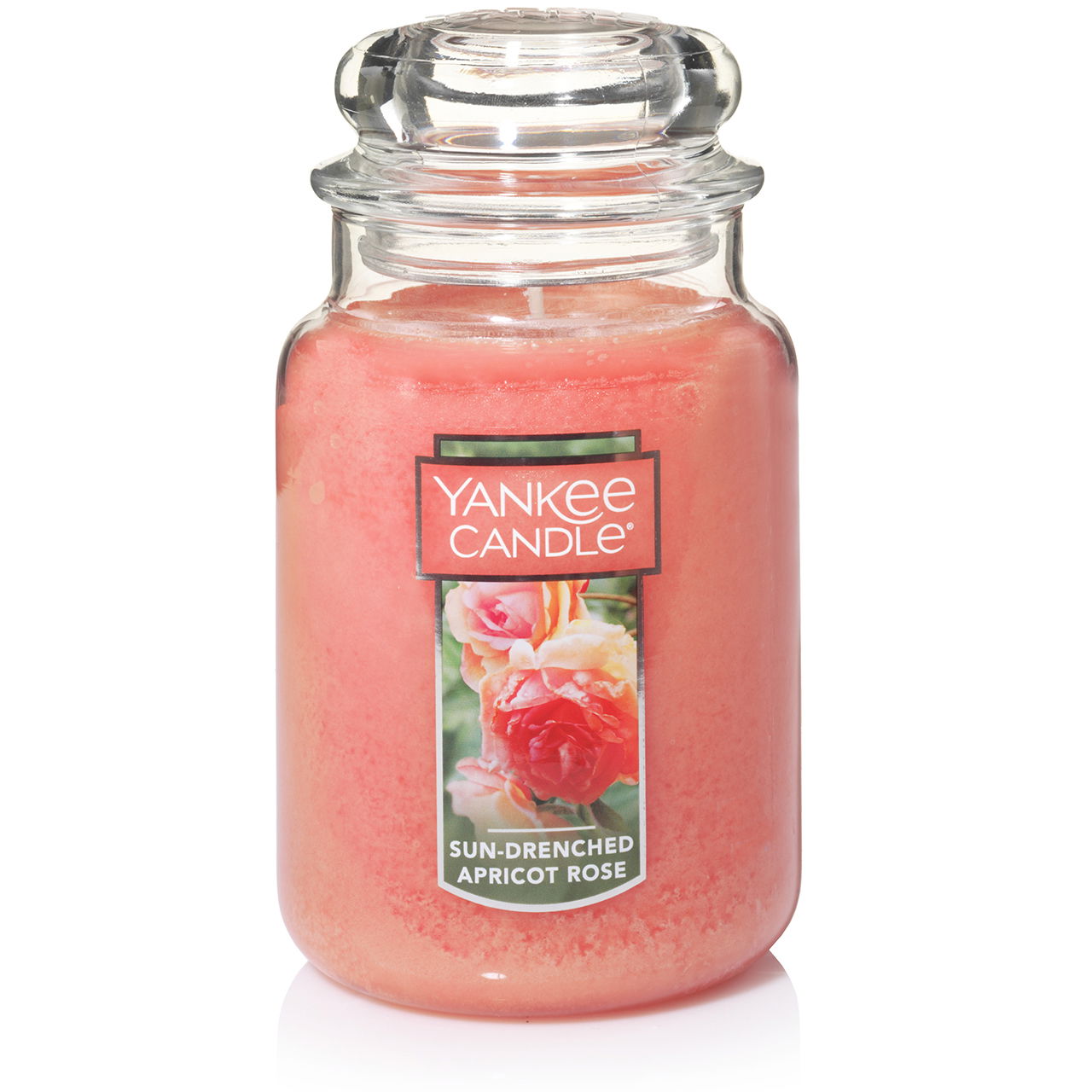 Sun-Drenched Apricot Rose 623g