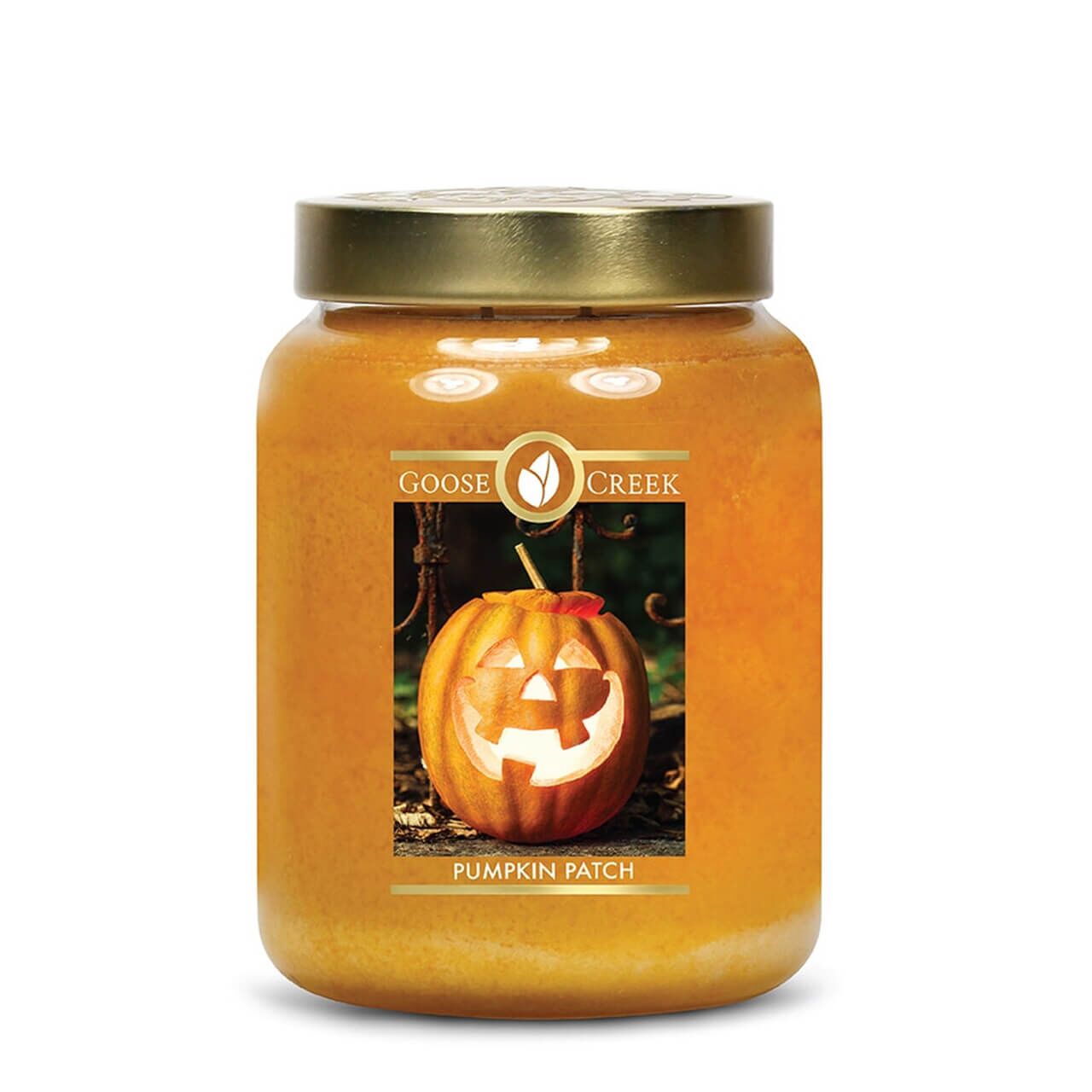 pumpkin-patch-680 Pumpkin Patch 680g