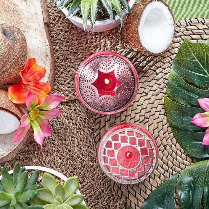 Just-Go-_Tropical-Jungle_Illuma-Lid_Social Warm Rustic - Illuma-Lid