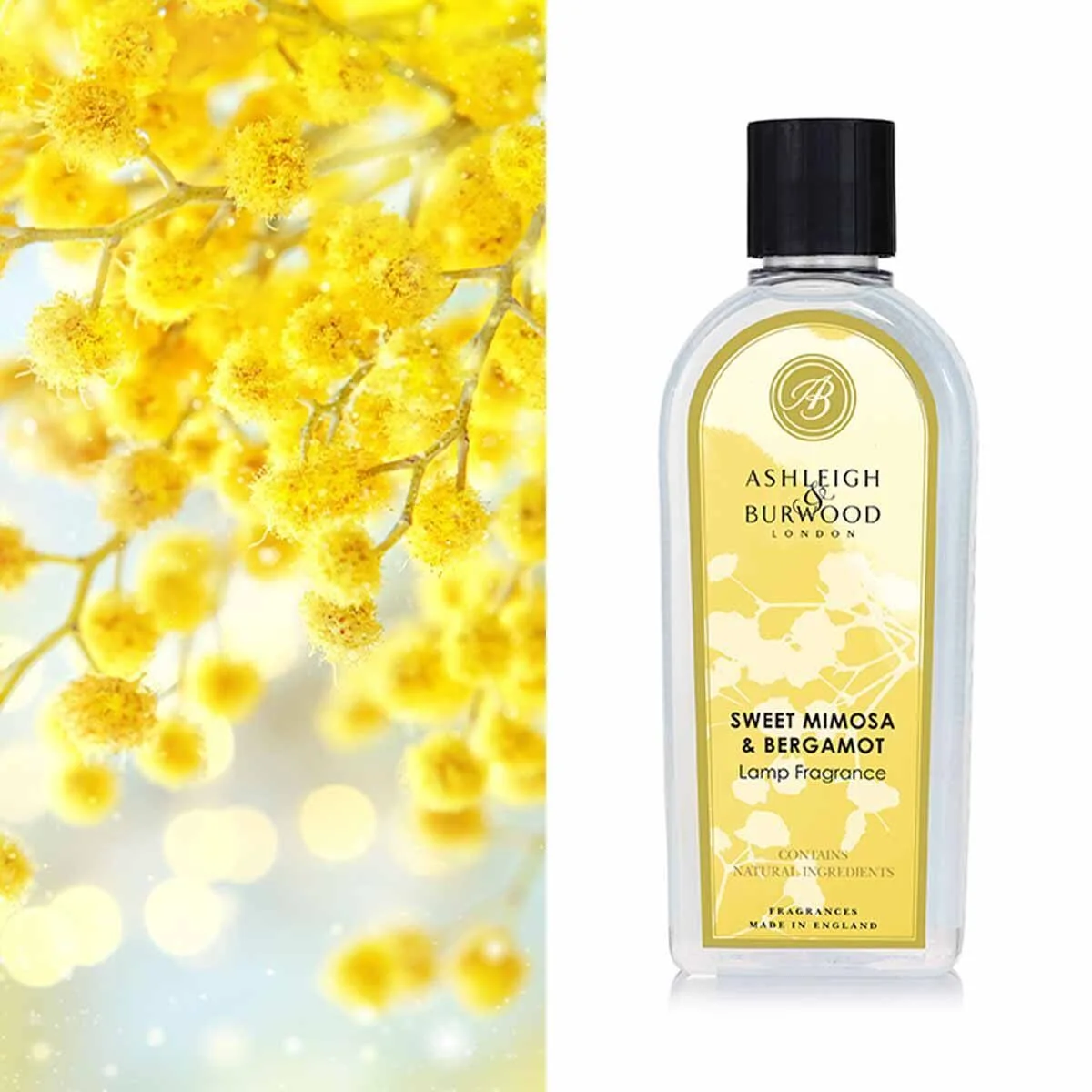 Flasche, Blume, Pflanze, Kosmetik, Parfüm