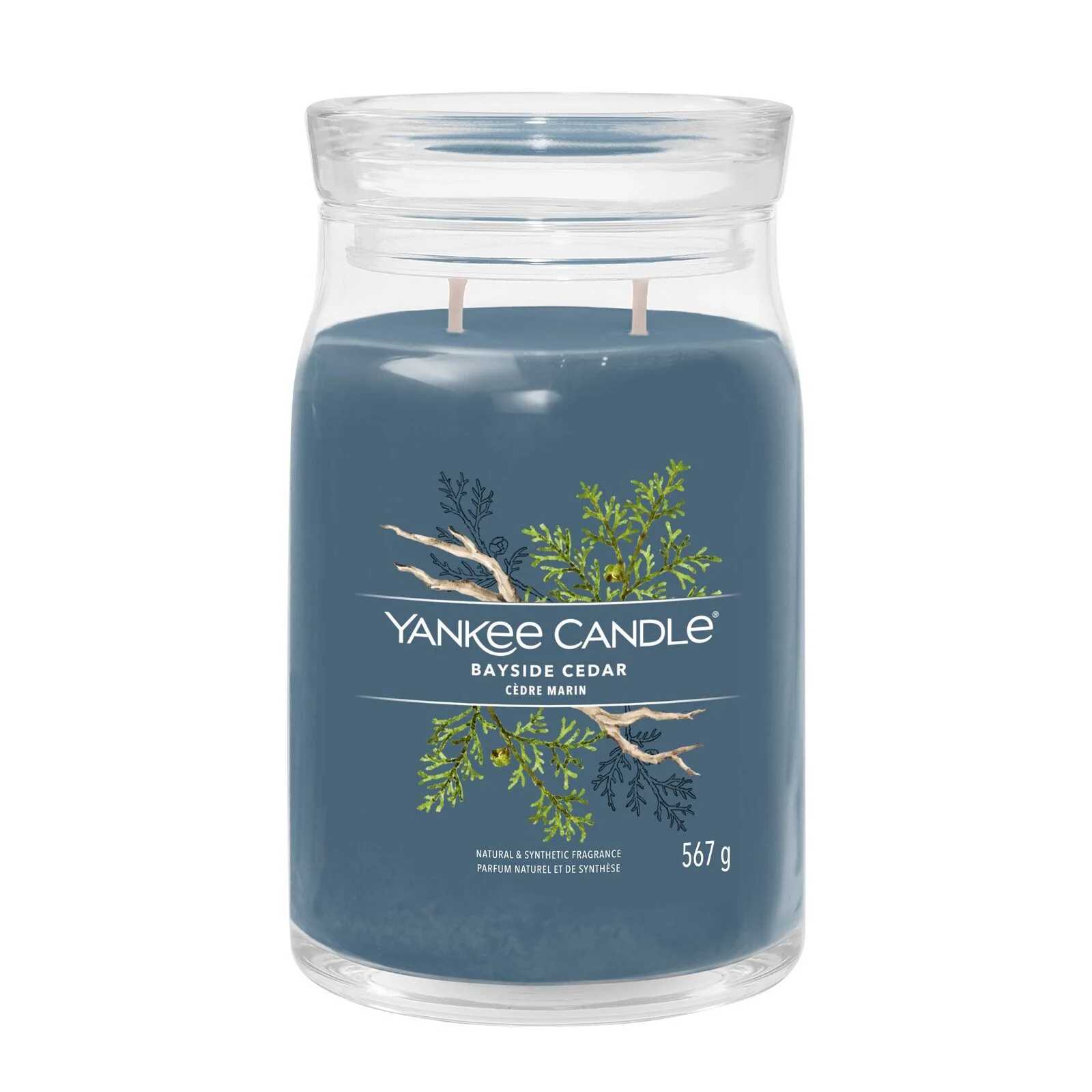 Bayside-Cedar_Large_Lid1 Bayside Cedar Signature Large Jar 567g 2-Docht