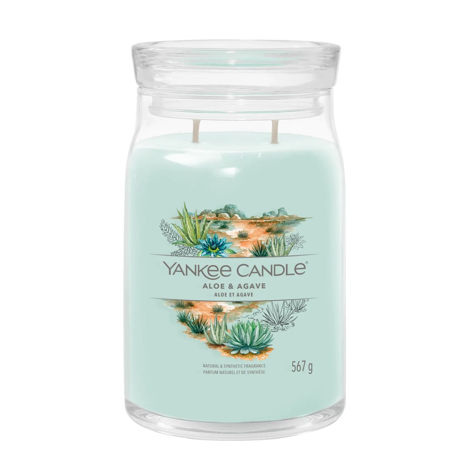 Aloe-Agave_Large Aloe & Agave Signature Large Jar 567g 2-Docht
