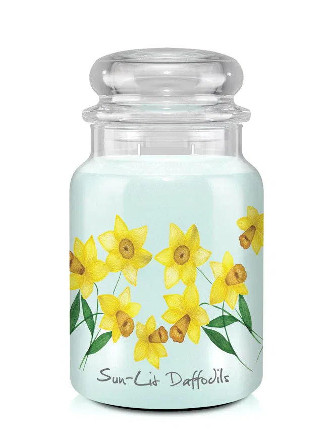 Sun Lit Daffodils 680g
