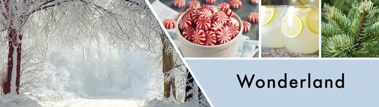 Wonderland-Banner Wonderland 680g