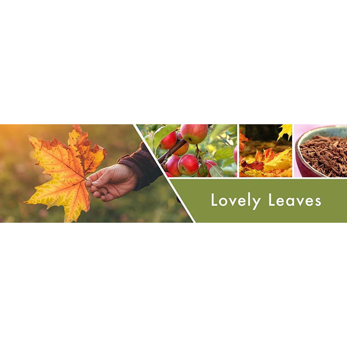 Lovely Leaves 453g