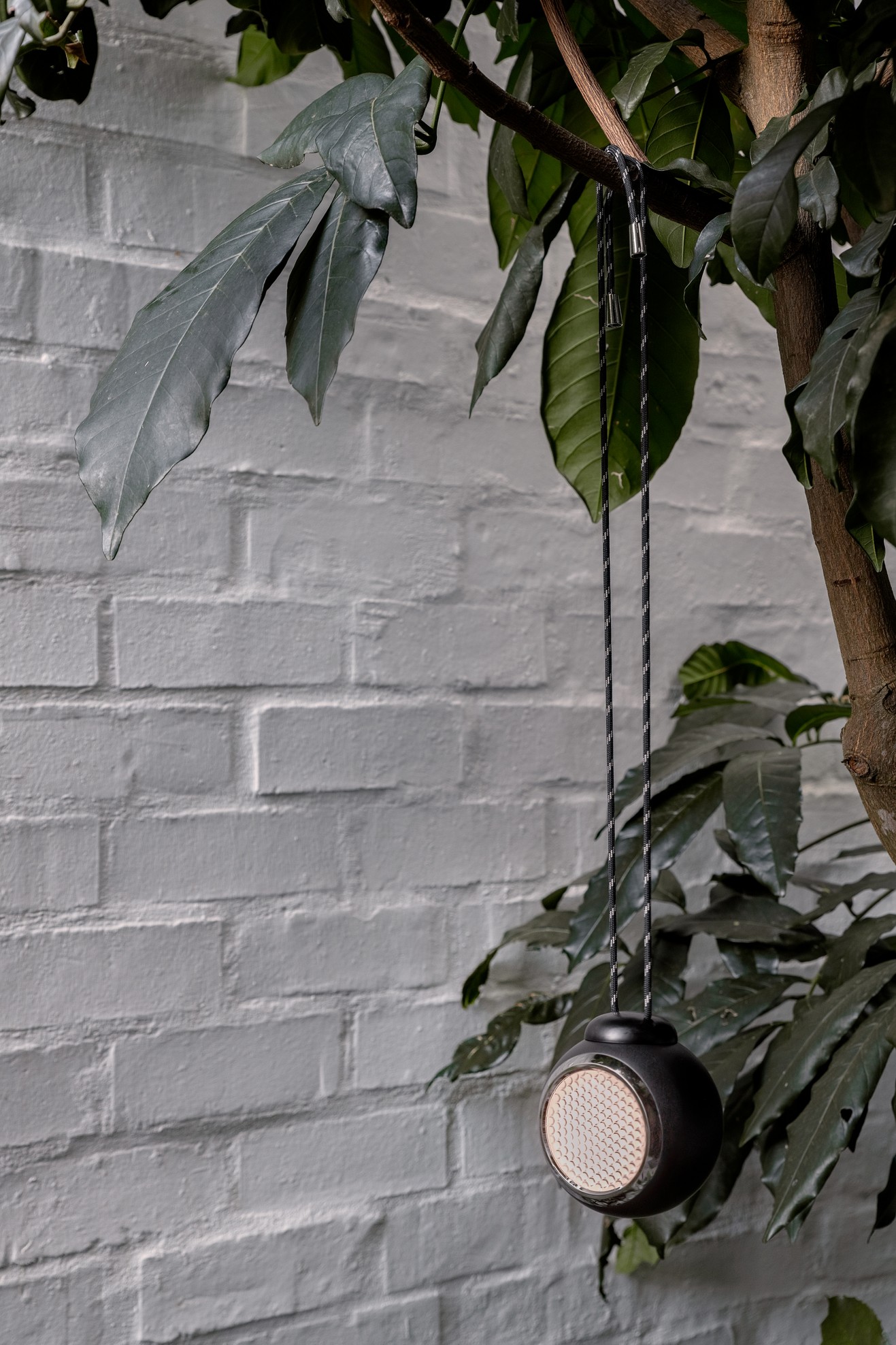 Norbitt Hanging String Squid Black