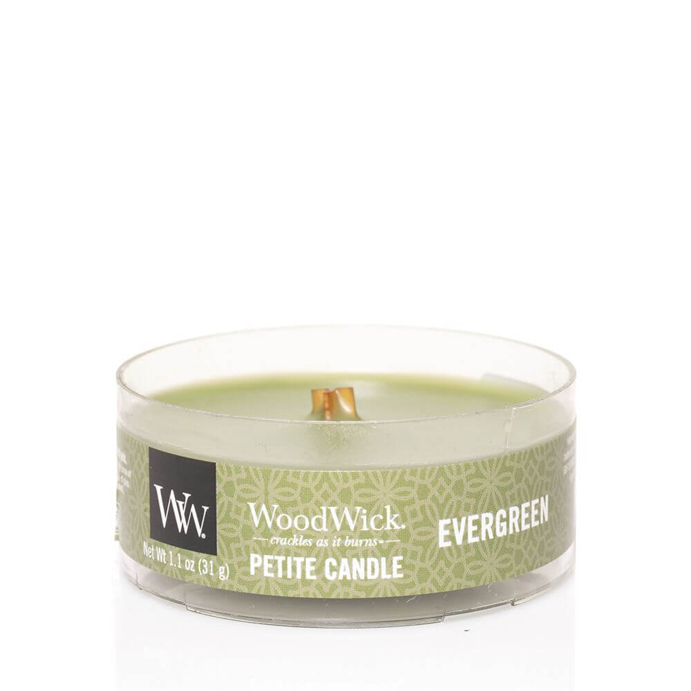 Evergreen Petite Candle 31g von Woodwick 