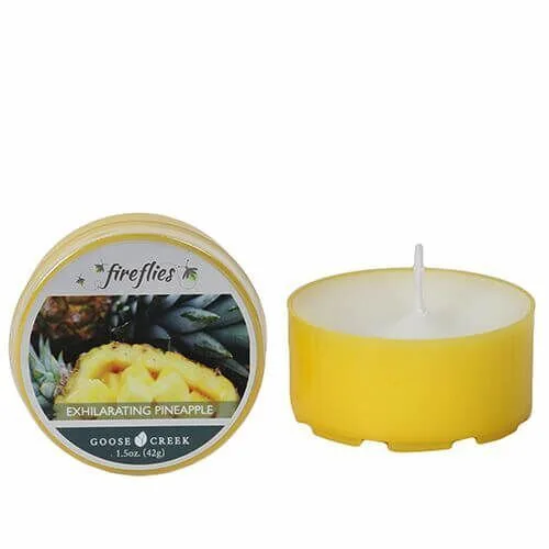 FF201 Goose Creek Candle Exhilarating Pineapple 42g
