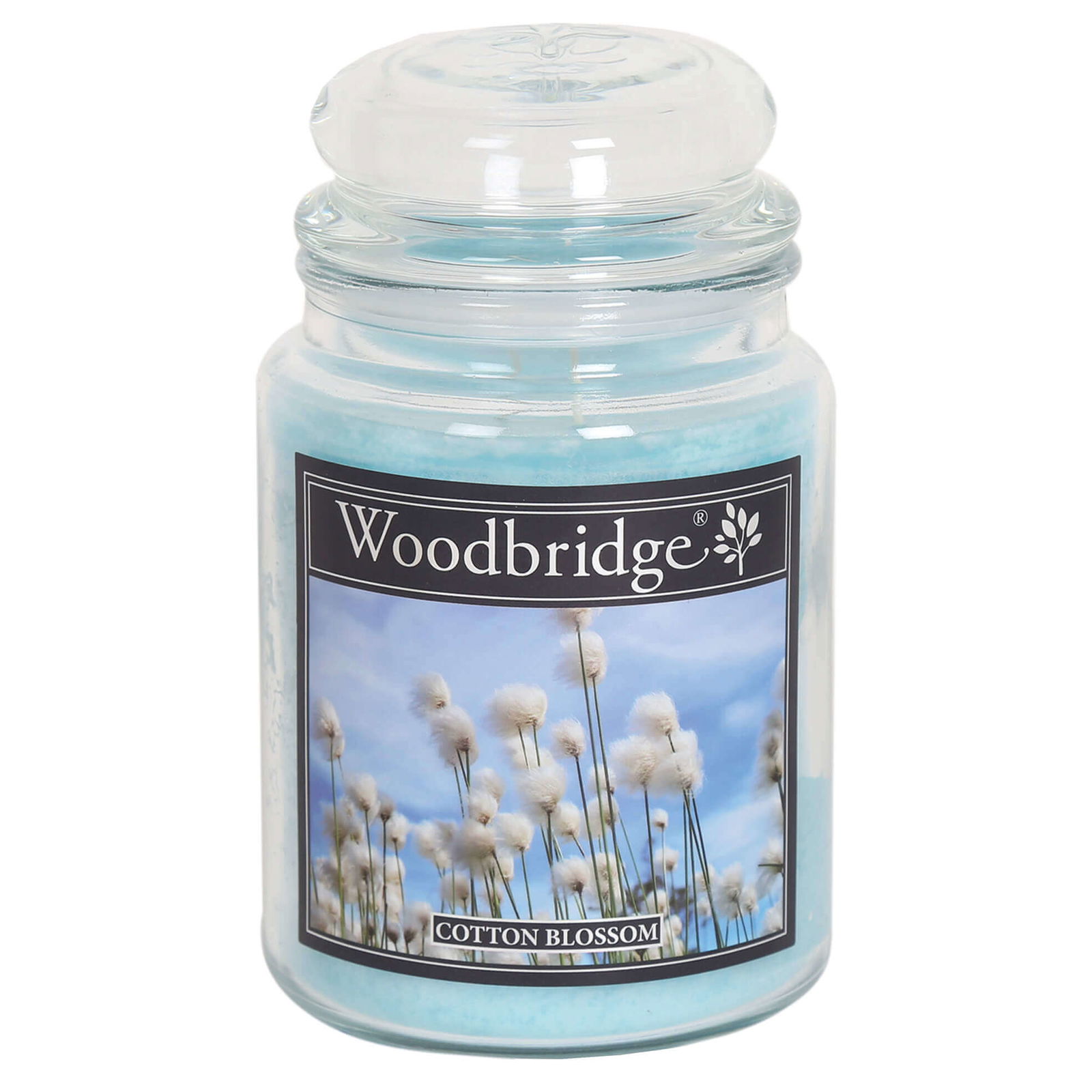 Cotton Blossom 565g